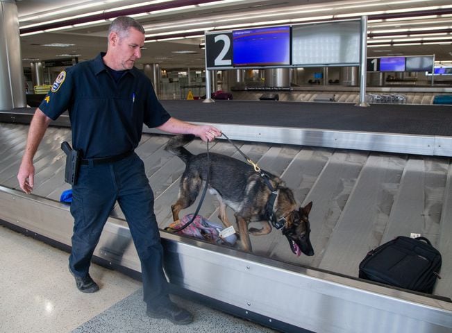Gwinnett County Police K-9 officer Stan Jones works with Riggs on the luggage carousel in E Concourse. The U.S. Customs and Border Protection Office of Field Operations Port of Atlanta hosted a two-day K-9 training conference at Hartsfield-Jackson Atlanta International Airport (ATL). K-9 detection dogs from the U.S. Customs and Border Protection, Georgia Department of Correction, Georgia State Patrol, Union City, Newnan, Bowden Police and Clayton County Police participated in training exercises. PHIL SKINNER FOR THE ATLANTA JOURNAL-CONSTITUTION.