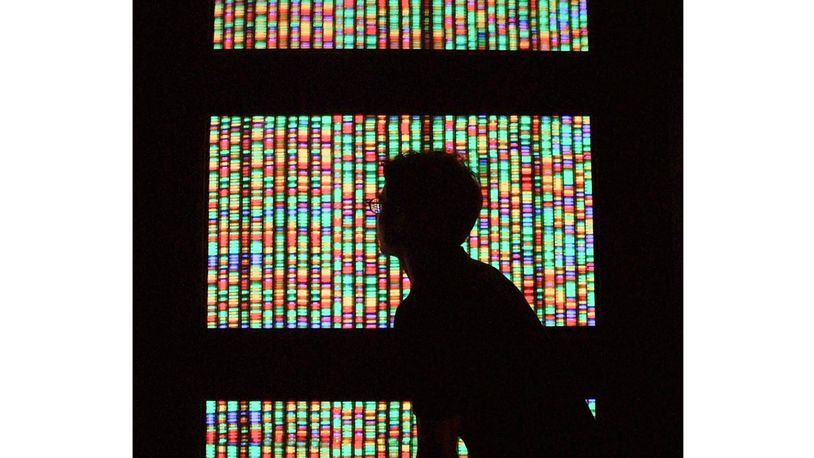 A visitor views a digital representation of the human genome in August 2001 at the American Museum of Natural History in New York City. (Mario Tama/Getty Images)