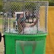 Jason Manzanarez, a junior business management major at Kennesaw State University, takes the plunge during Pi Kappa Phi's "Dunk-a-Brother" event.