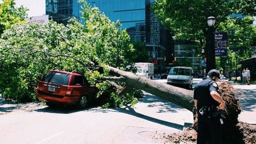 A tree fell on a car on Peachtree Street on Saturday.