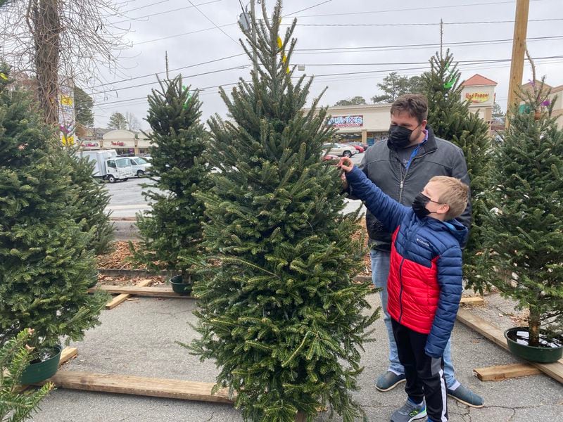 Adam Ellsworth and his son, Isaiah, eyed a six-foot-tall Christmas tree at Tradition Trees in Druid Hills this week. 'We wanted to get a real tree again, like we always do, to brighten up the season,' said Ellsworth.