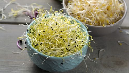 Raw sprouts are dangerous because of their growing process. (Dreamstime)