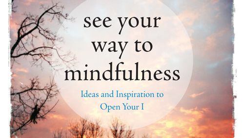"See Your Way to Mindfulness," by David Schiller