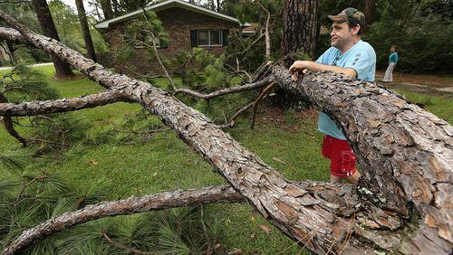 090216 VALDOSTA: Chris Boland, whose home just missed a direct hit from a downed pine tree, looks over the aftermath of Hurricane Hermine as he waits for power to be restored on Friday, Sept. 2, 2016, in Valdosta. Curtis Compton /ccompton@ajc.com