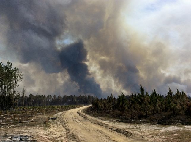 Georgia Wildfire