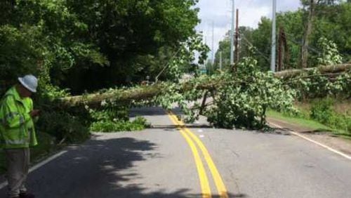 Spalding Drive is closed Wednesday after a tree and power lines fell over.
