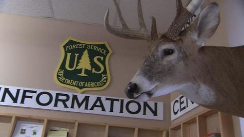 “You can safely say that you can hunt outside that area and it’s not a risk to the hunters,” Lucinda Nolan with the U.S. Forest Service said. (Credit: Channel 2 Action News)
