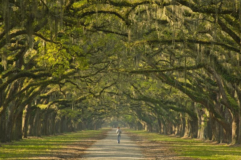 One of Georgia's more iconic vistas is the oak-lined avenue at Wormsloe State Historic Site.
Courtesy of Explore Georgia