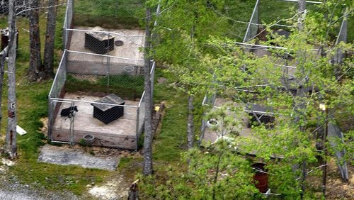 Some of the dog pens behind the Vick property in Surry Co. Va., where a drug investigation led authorities in 2007 to search a Surry County home owned by then-Falcons quarterback Michael Vick and they instead discovered a dog fighting ring.