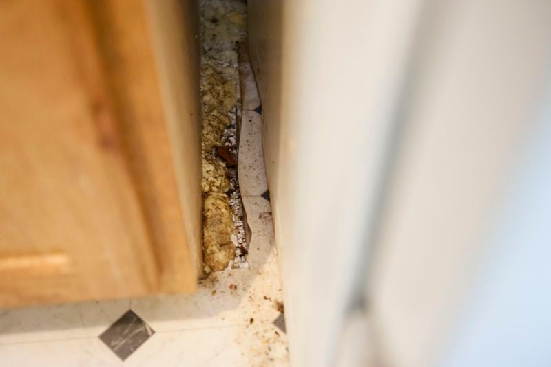 A hole in the floor allows roaches to crawl into the kitchen of Danielle Russell's Pavilion Place apartment. In June, an Atlanta municipal court judge ordered the complex's owner to repair the floor within 30 days, but this and other repairs were left unfinished. (Miguel Martinez/miguel.martinezjimenez@ajc.com)