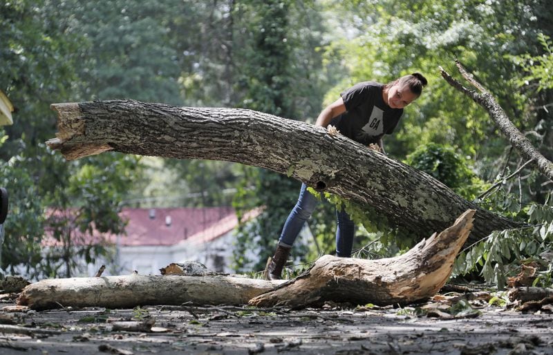 Christie Bryant, arborist and president of the Georgia Arborist Association Inc., inspects a fallen tree in Grant Park. She found lots of shelf fungus, which indicates the tree was dead and had rotted. BOB ANDRES / BANDRES@AJC.COM