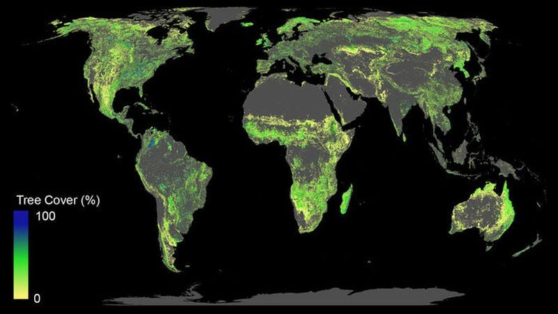 This is where the world could support new forests. The map excludes existing forests, urban areas, and agricultural lands.