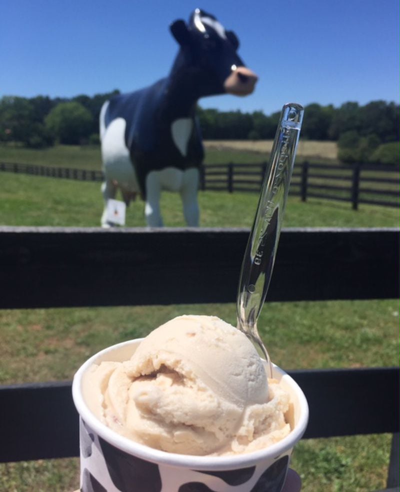  Mountain Fresh Creamery in Clermont, Ga., serves up super-creamy, house-made ice cream from their very own dairy farm. / Photo credit: Mountain Fresh Creamery