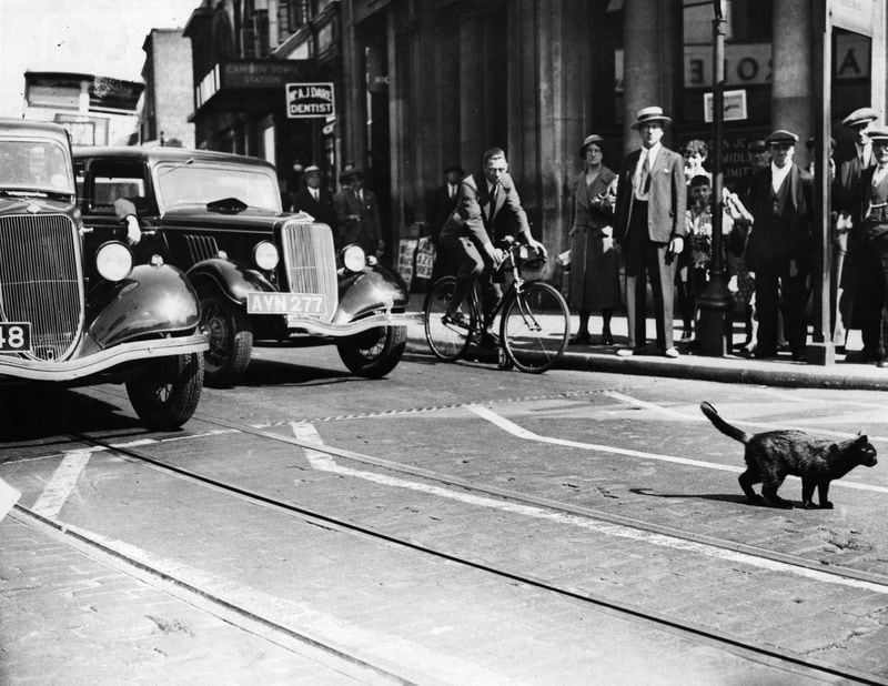 20th July 1934:  A black cat crosses the road and in the process holds-up the traffic.  (Photo by Fox Photos/Getty Images)