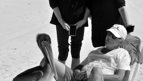 David Libman submitted this photo taken at Pensacola Beach, Florida in October 2017. “A pelican invited itself to hop on my brother-in-law’s lounge chair,” he wrote. “It spent 15 minutes or so visiting with us without begging for food and posing very cooperatively for dozens of pictures. Steve Cruse of Raleigh, North Carolina is on the chair. My wife Nancy is standing on the right and her sister Edele Cruse, also of Raleigh, North Carolina is standing on the left.”