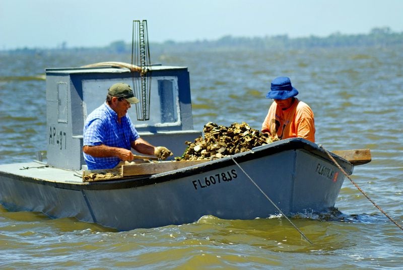 File photo of oystermen in the Apalachicola Bay. Florida officials last summer barred oyster harvesting in the bay for five years. Photo by Pat Canova
