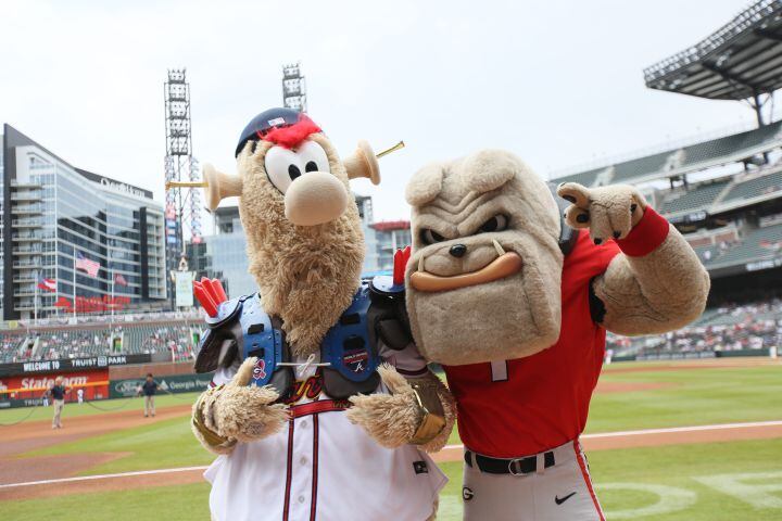 Mascots from the Braves and the University of Georgia hang out before the game Wednesday at Truist Park. (Miguel Martinez / miguel.martinezjimenez@ajc.com)