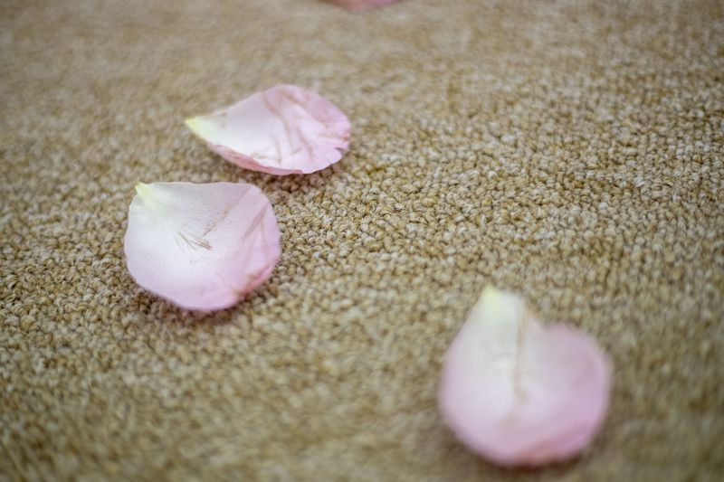 Real flower petals filled the area where patrons were married at the Fulton County Courthouse in Atlanta, Friday, Feb. 12, 2021. (Alyssa Pointer / Alyssa.Pointer@ajc.com)