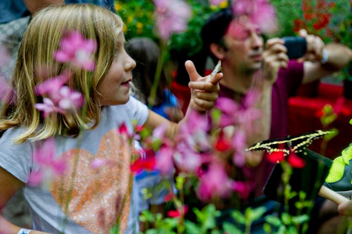 Butterfly Festival at Dunwoody Nature Center