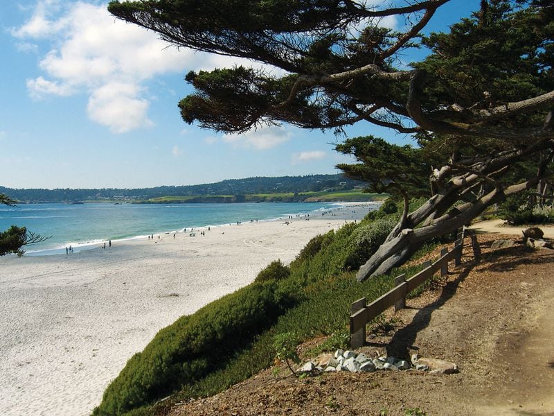 Shaded by cypress trees, the Scenic Path winds along the coastline of Carmel-by-the-Sea.
(Courtesy of CarmelCalifornia.com)