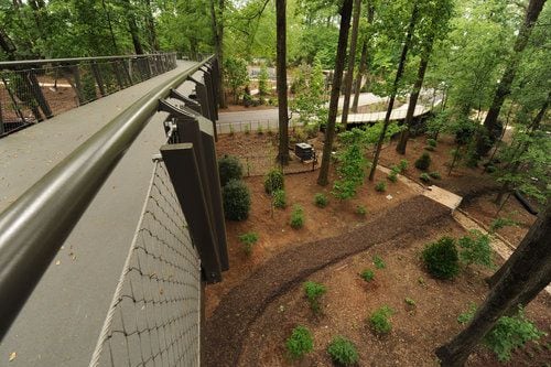 Canopy Walk, Botanical Garden expansion to open