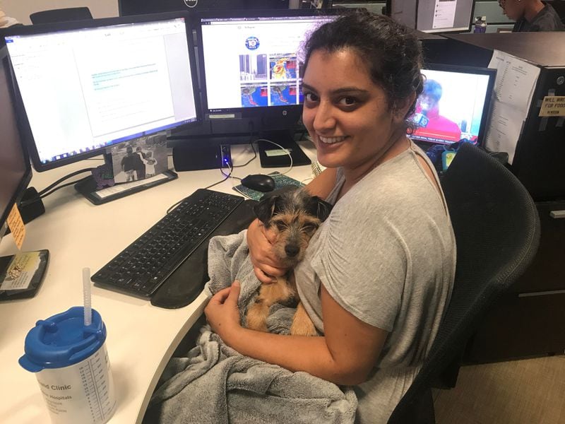 Paradise Afshar and her dog, Iverson, cover Hurricane Irma in 2017 at WPLG, Miami’s ABC affiliate. Afshar joined The Atlanta Journal-Constitution’s newsroom in June. (Contributed)