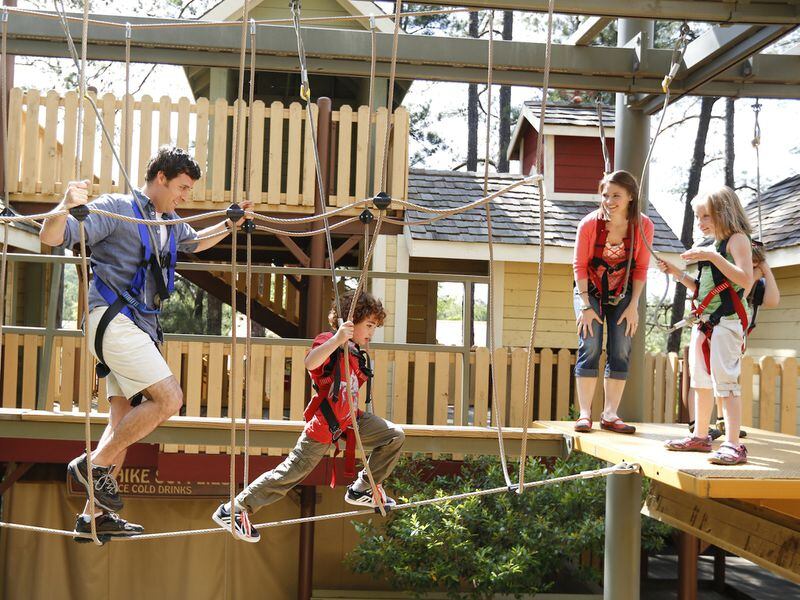 Spend a day outdoors and ride a cable car or train, trek on a ropes course, see big bugs and more at Stone Mountain Park. Contributed by Stone Mountain Park