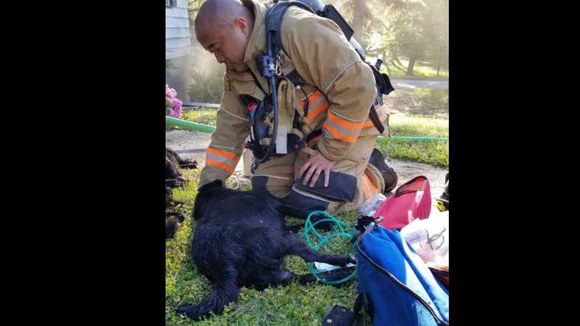 This is a Marietta firefighter using an animal oxygen mask on a dog that Channel 2 Action News reports was saved from a fire that killed three pets Monday morning.