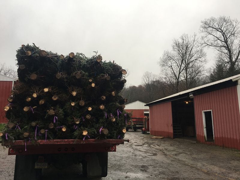 A truck is loaded and ready to leave Fleming's Tree Farm in Indiana County, Pa. (Jason Nark/Philadelphia Inquirer/TNS)