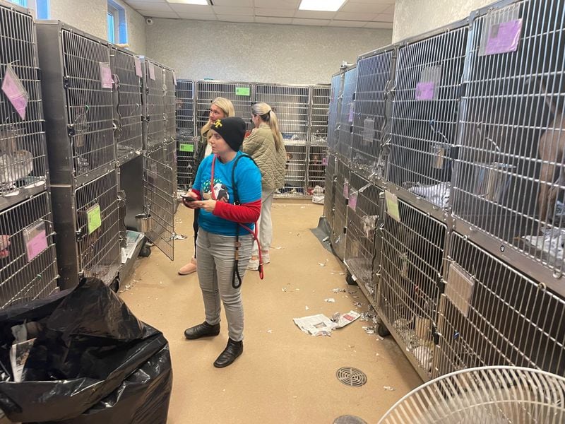 Natalie Pierce and Lauren Holston, rear, ponder which dog to foster Thursday after the DeKalb County Animal Shelter made a plea for the public to come in and foster or adopt because of overcrowding.