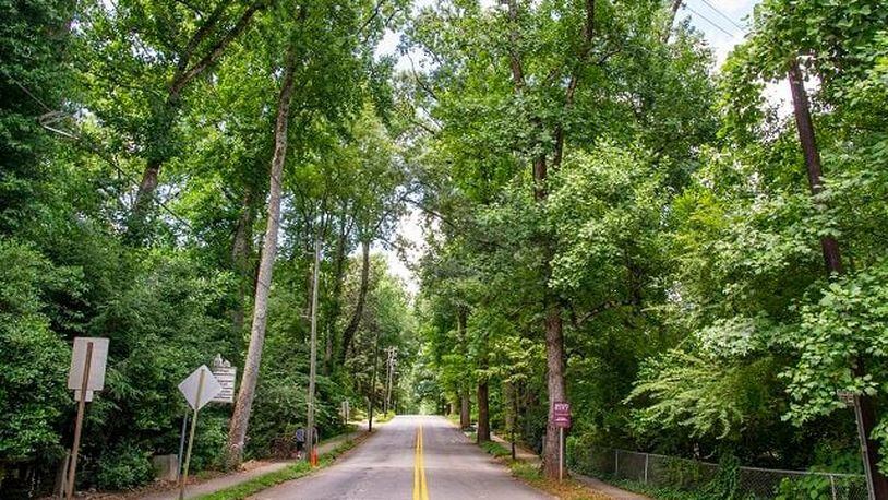 A new law on tree canopy conservation is in effect in the city of Decatur. (Courtesy of Trees Atlanta)