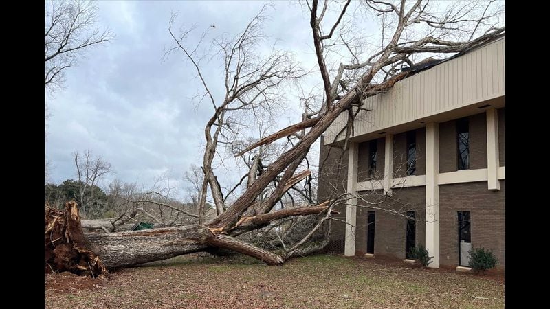 A tree toppled onto a building located on the University of Georgia's Griffin campus during a storm that hit the area on Thursday, Jan. 12, 2023. (University of Georgia photo)