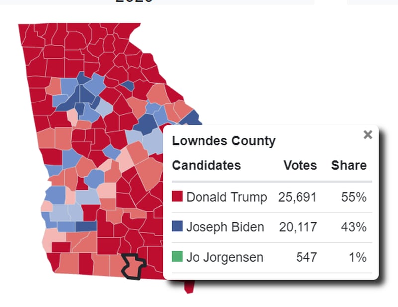 Lowndes County 2020 election