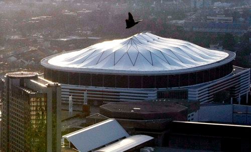 Falcons make a home in Atlanta
