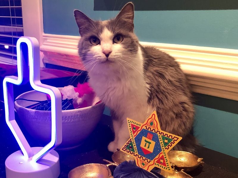 Gracie Steigerwalt celebrated the first night of Hanukkah with her people. (Courtesy photo)