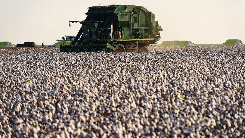 A cotton picker harvests crops on Aug. 23, 2016. Bloomberg photo by Eddie Seal.