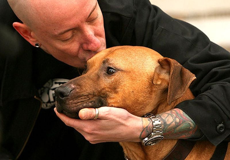 File photo: Brandon Bond kisses Macaveli in front of All or Nothing Tattoo. Macaveli was one of the pit bulls taken from Michael Vick for dog fighting. Bond has been providing a temporary home for pit bulls for a dozen years. He says he's placed more than 200 of them. (Johnny Crawford/AJC)