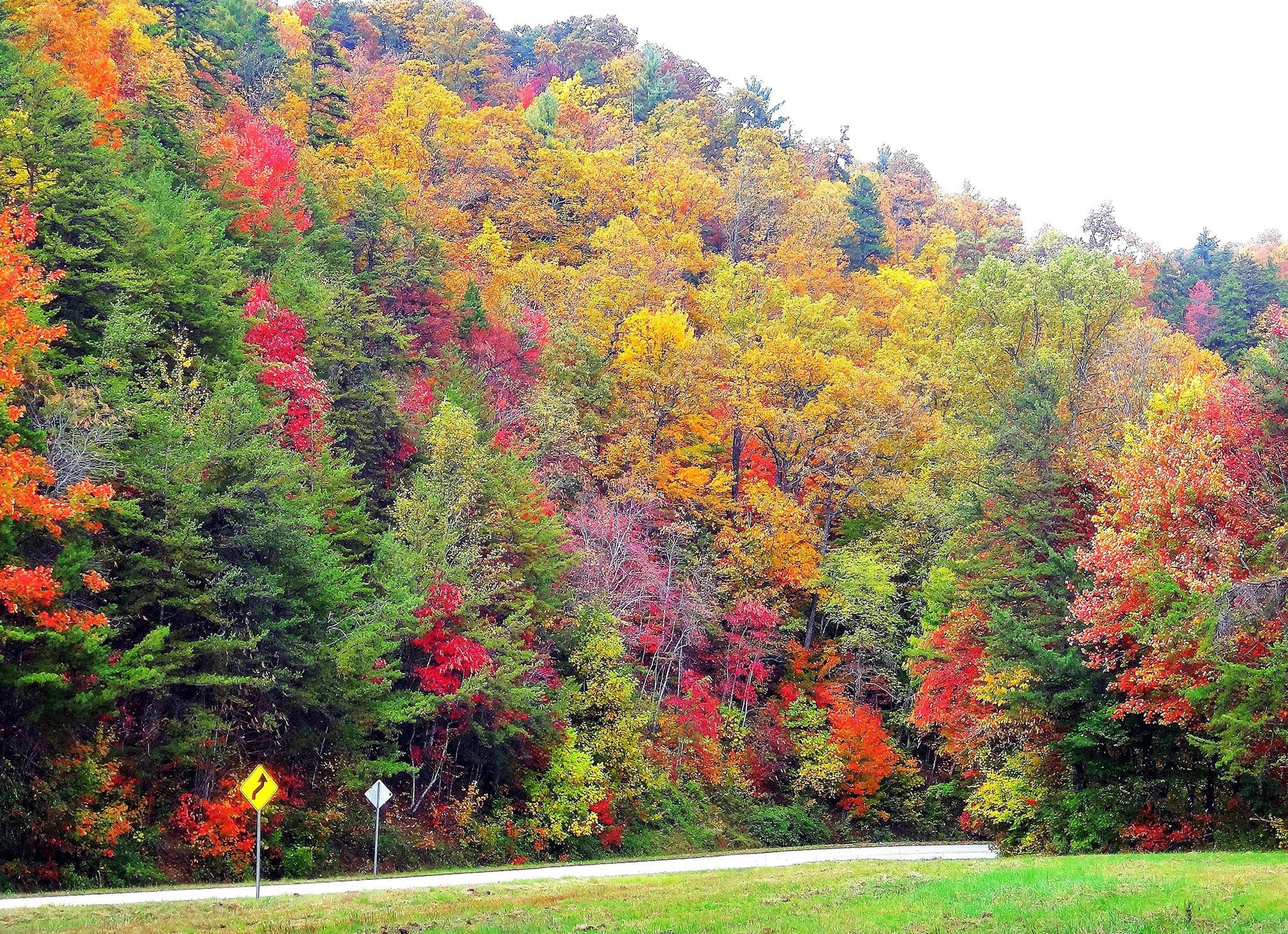 Georgia Fall Leaves Schedule 2022 Fall In Georgia 2021: Where To See The Leaves Change Colors Near Atlanta