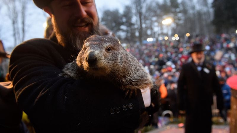 Handler AJ Dereume holds Punxsutawney Phil after he did not see his shadow predicting an early spring during the 133rd annual Groundhog Day festivities on February 2, 2019 in Punxsutawney, Pennsylvania. Groundhog Day is a popular tradition in the United States and Canada. A crowd of upwards of 30,000 people spent a night of revelry awaiting the sunrise and the groundhog's exit from his winter den. If Punxsutawney Phil sees his shadow he regards it as an omen of six more weeks of bad weather and returns to his den. Early spring arrives if he does not see his shadow, causing Phil to remain above ground.