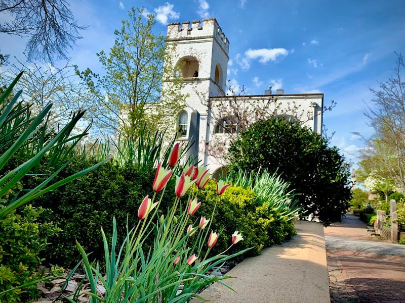 Find tulips and other spring flowers throughout the historic Oakland Cemetery.