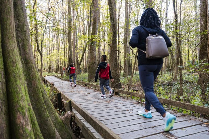 Congaree National Park boasts 25 miles of trails and a 2.4-mile boardwalk for hiking and birdwatching.
Courtesy of Experience Columbia, SC / Forrest Clonts