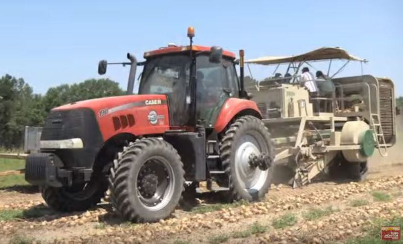 An onion harvester can replace almost 100 laborers. (Image from Georgia Farm Monitor video)