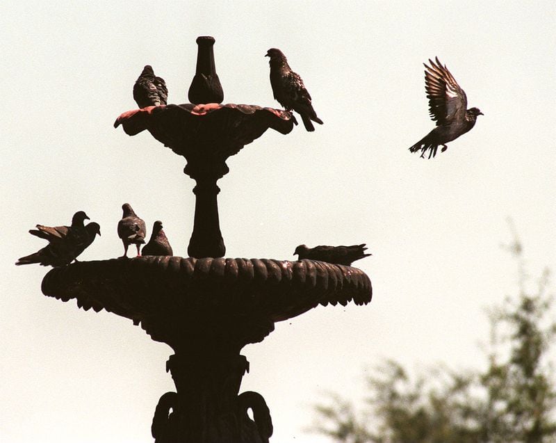 Sept. 14, 1998: Pigeons flock around the fountain at Glover Park on the Marietta Square.
