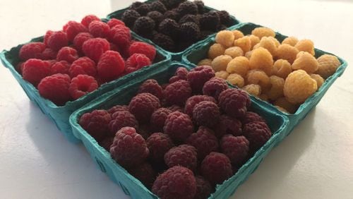 Bramberi Farm near Dahlonega grows lots of berries including these purple, red, gold and black raspberries. CONTRIBUTED BY JOERN SEIGIES