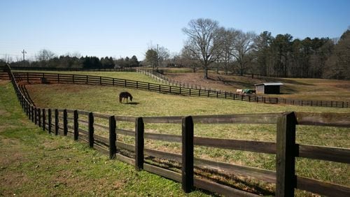 Milton, a community with many horse owners, is creating an Equestrian Committee to advise the city. AJC FILE