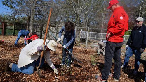 Creative enterprises client Josh Jansma, second from the right, watches as a Food Well Alliance volunteer explains how to plant a bush in an orchard at Creative Enterprises on March 24. The orchard is part of a Food Well Alliance metro-wide effort to increase food equity and access to healthy food. (Courtesy of Curt Yeomans)