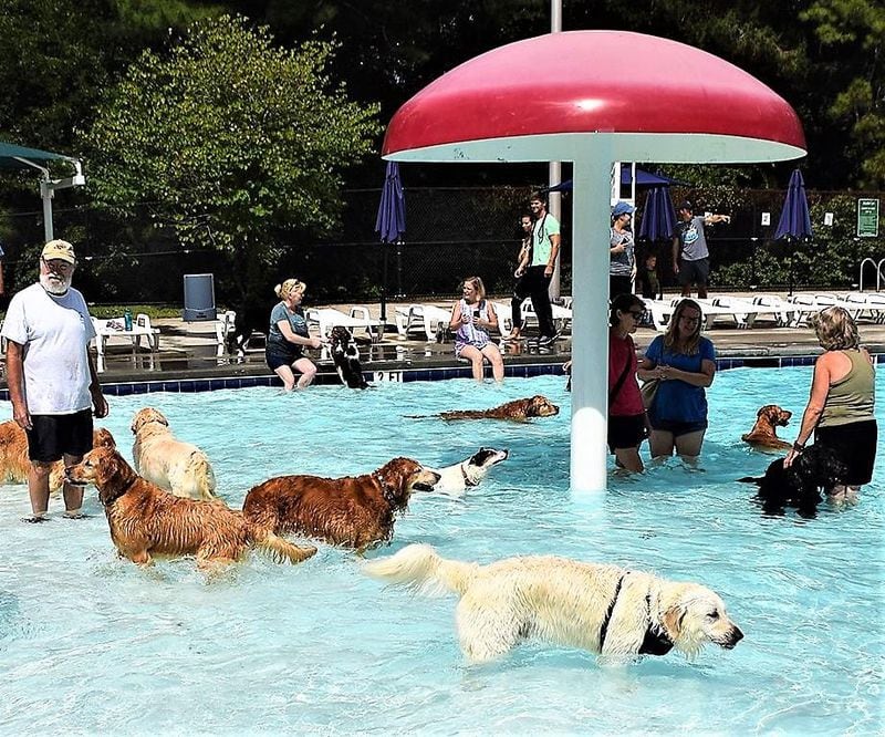 Dogs and their owners can take a dip into Murphey Candler Pool in Brookhaven this weekend.