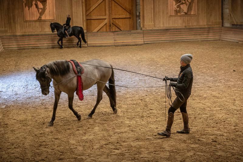 A horsewoman practices with her horse in the stables' riding arena of the royal stables, in Versailles, Thursday, April 25, 2024. More than 340 years after the royal stables were built under the reign of France's Sun King, riders and horses continue to train and perform in front of the Versailles Palace. The site will soon keep on with the tradition by hosting the equestrian sports during the Paris Olympics. Commissioned by King Louis XIV, the stables have been built from 1679 to 1682 opposite to the palace's main entrance. (AP Photo/Aurelien Morissard)