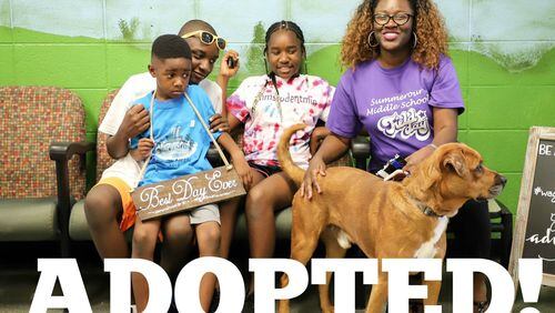 Gwinnett animal shelter joins Clear the Shelters program Saturday, Aug. 18. Courtesy Gwinnett Animal Welfare and Enforcement