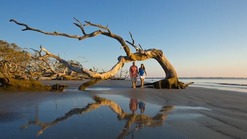 Driftwood Beach at the north end of Jekyll Island is a stretch of wilderness beach littered with trees washed and tumbled by the sea.
Courtesy of Explore Georgia